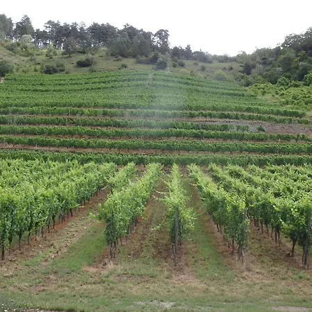 Fewoimdorf * Wertheim