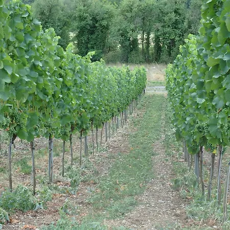 Fewoimdorf Appartamento Wertheim