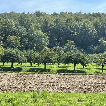 Appartamento Fewoimdorf Wertheim