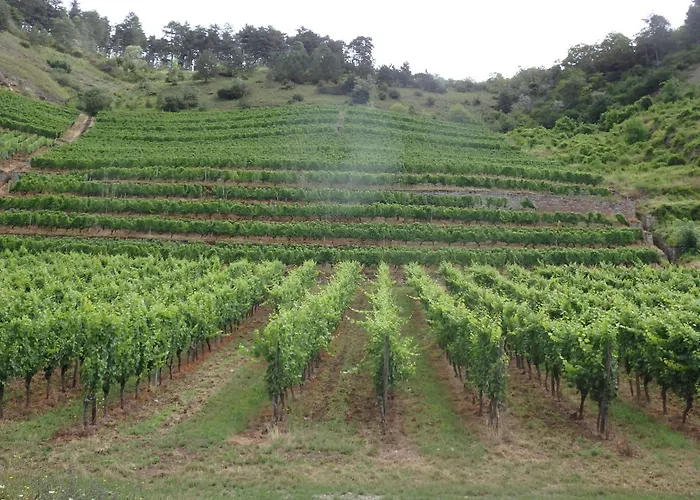 Fewoimdorf * Wertheim