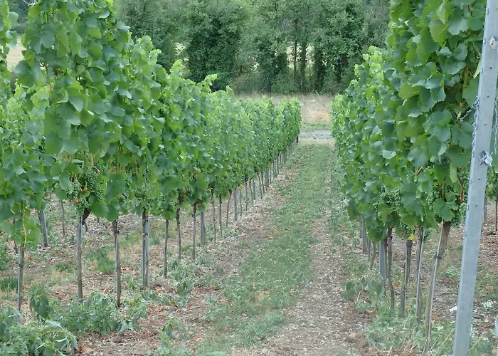 Fewoimdorf Appartement Wertheim